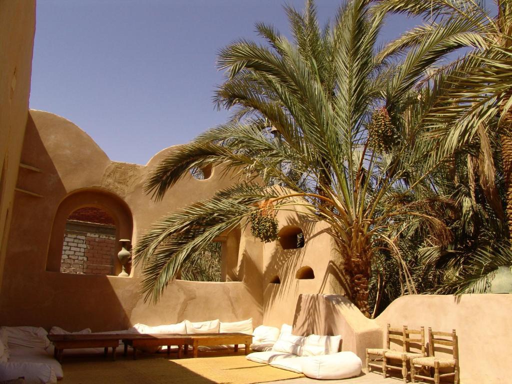 Shali Lodge Siwa Siwa Oasis Exterior foto