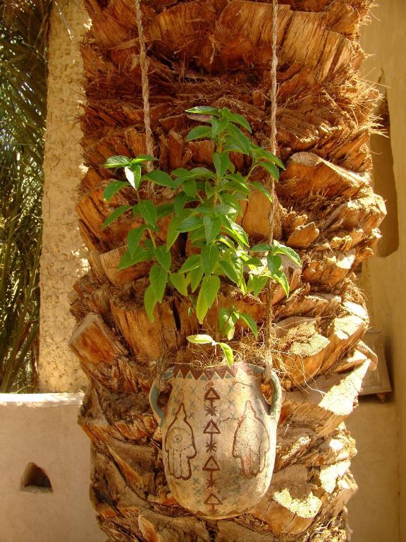 Shali Lodge Siwa Siwa Oasis Exterior foto