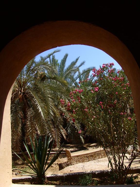 Shali Lodge Siwa Siwa Oasis Exterior foto